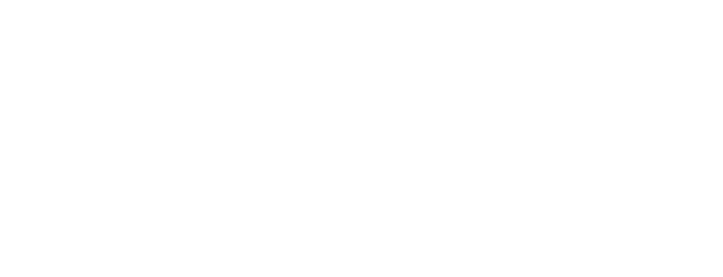 Petra Media Group